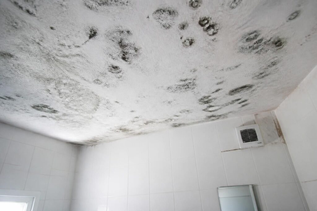 découvrez les causes du plafond moisi dans votre salle de bain, ainsi que des méthodes efficaces pour le nettoyer et prévenir la formation de moisissures.